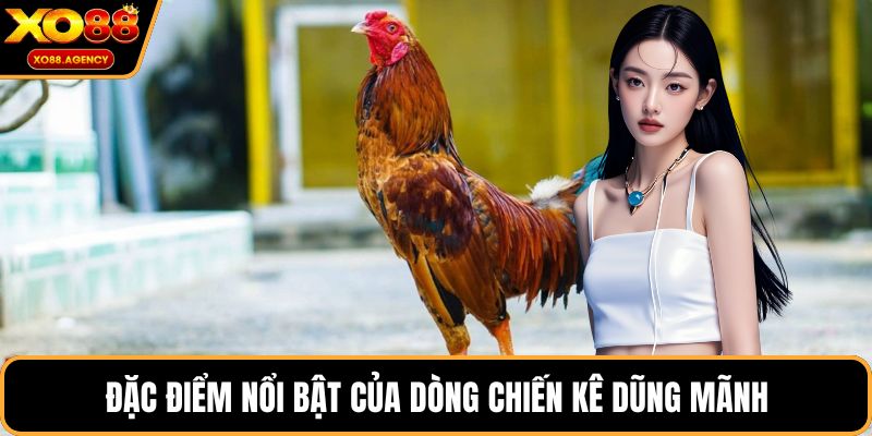 Đặc điểm nổi bật của dòng chiến kê dũng mãnh