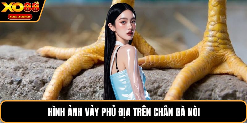 Hình ảnh vảy phủ địa trên chân gà nòi