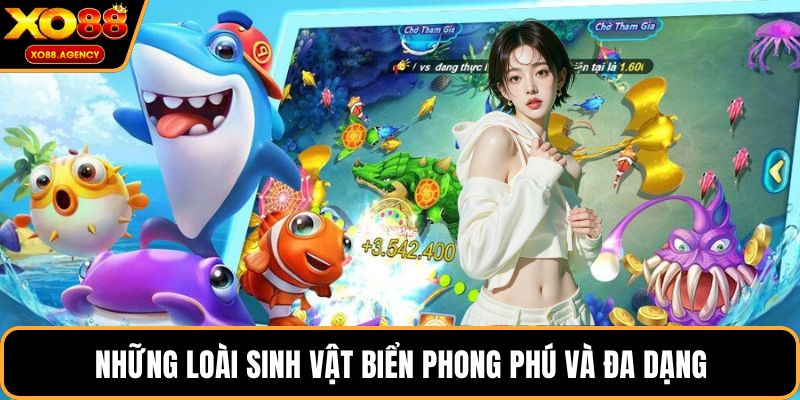 Những loài sinh vật biển phong phú và đa dạng