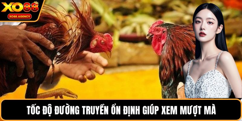 Tốc độ đường truyền ổn định giúp xem mượt mà