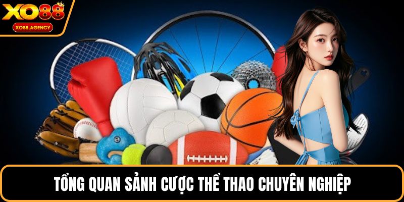  Tổng quan sảnh cược thể thao chuyên nghiệp